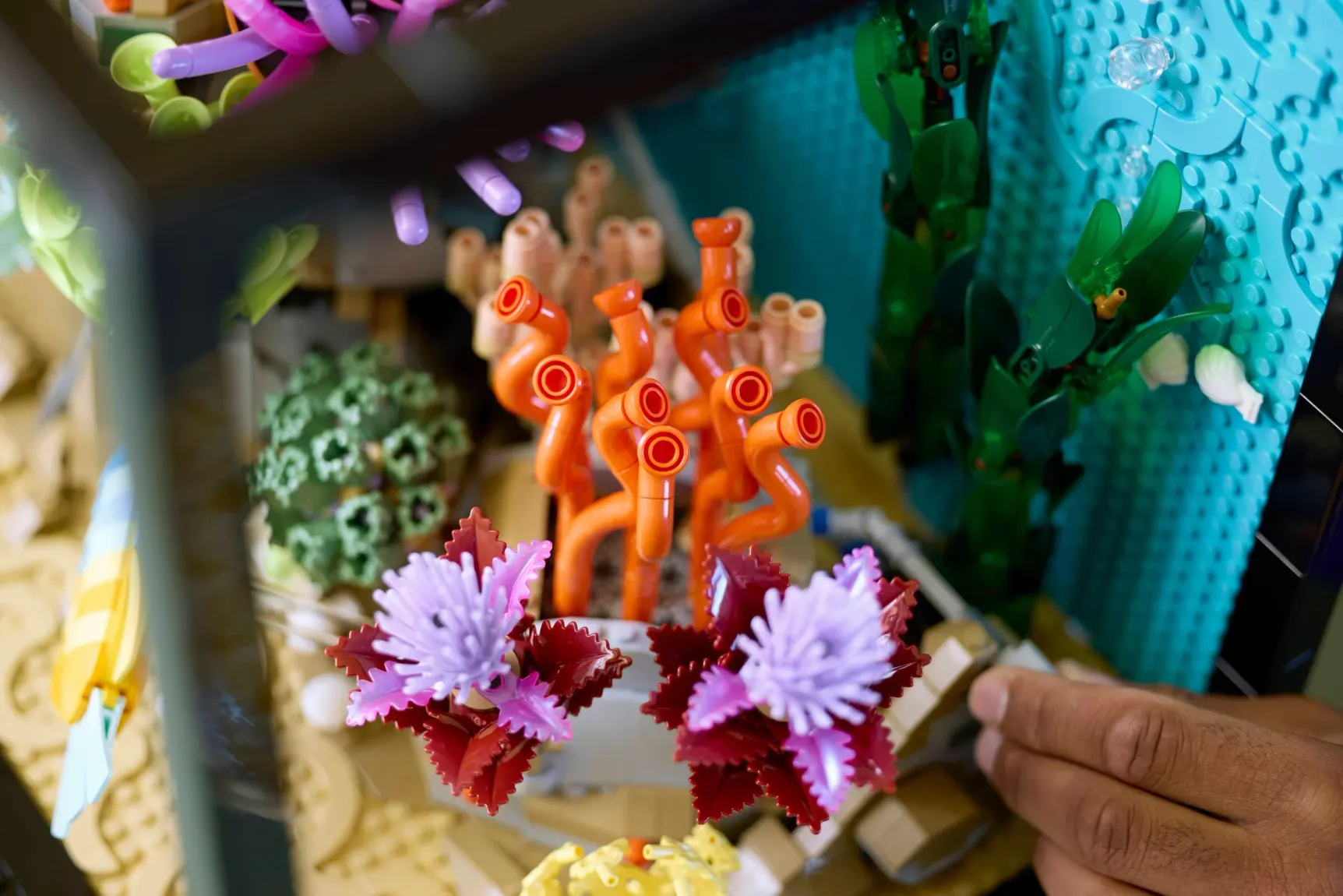 LEGO L'aquarium tropical, vue de détail 4