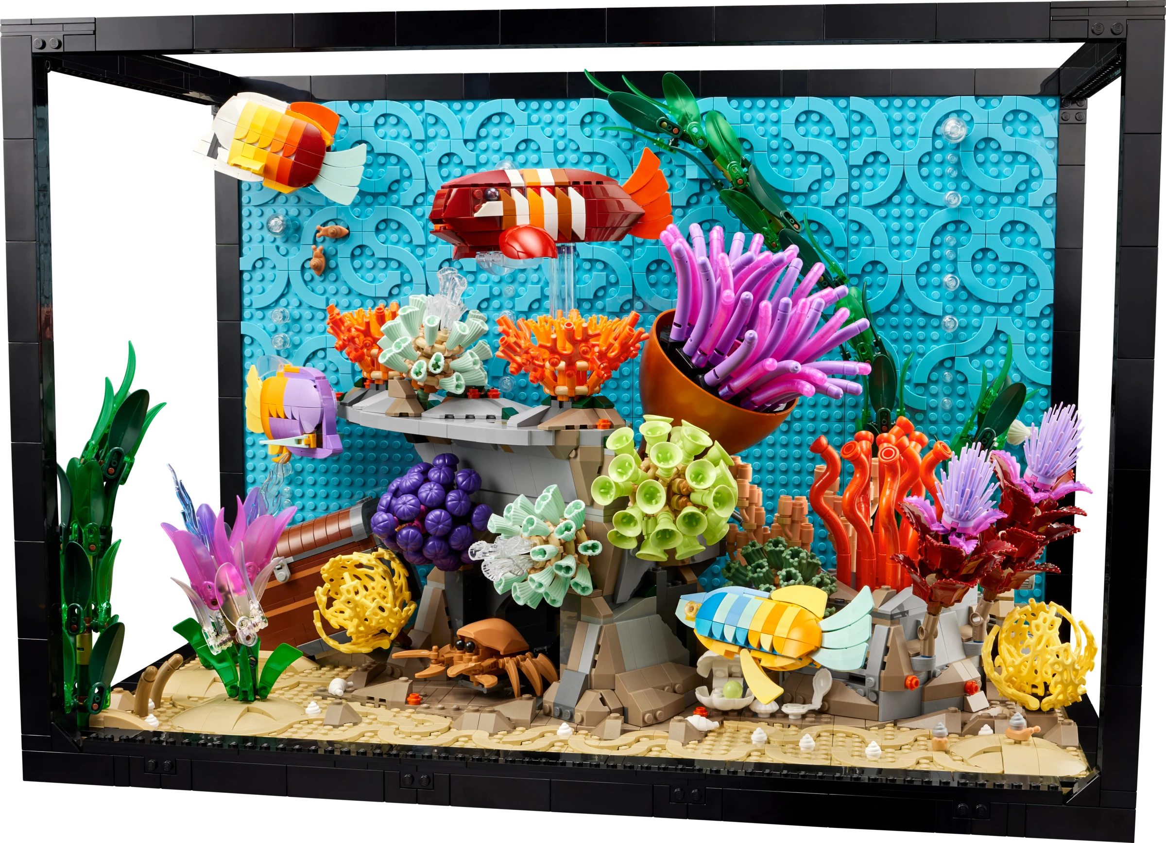 Tropisches Aquarium